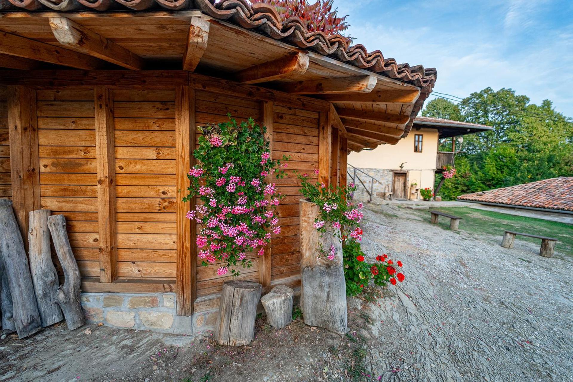 Guest House Kandaferi 2 Elena Exteriér fotografie